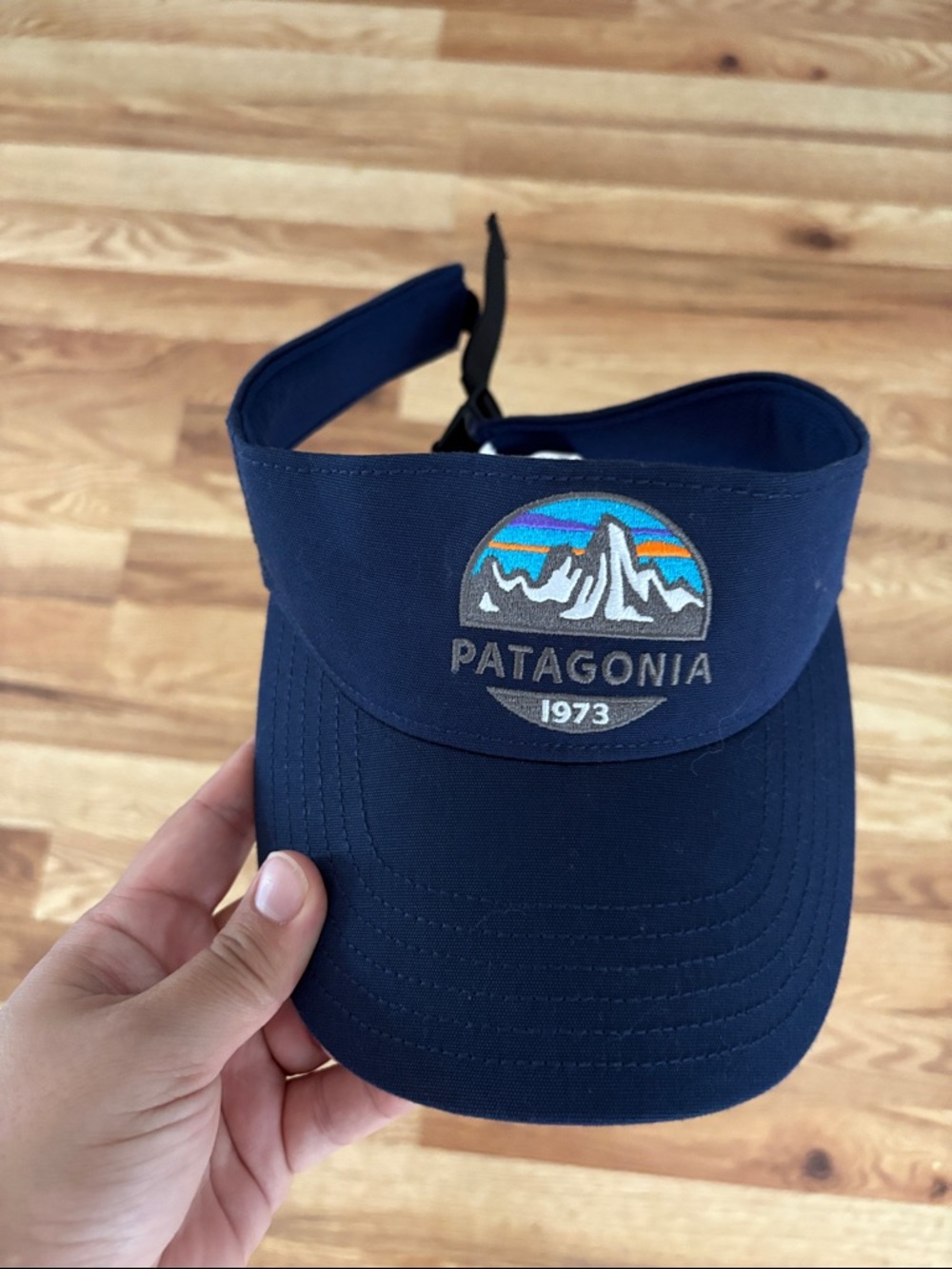 Patagonia Visor